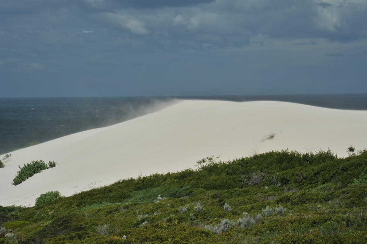 De Hoop Collection Suites De Hoop Nature Reserve Extérieur photo