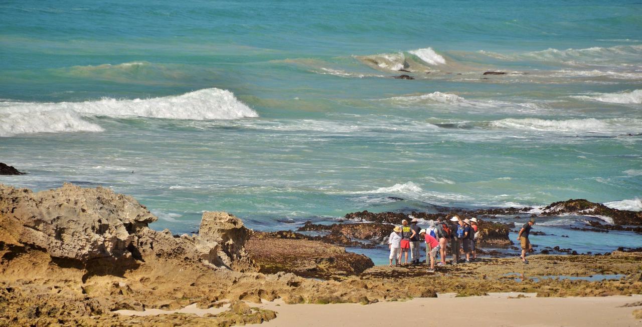 De Hoop Collection Suites De Hoop Nature Reserve Extérieur photo