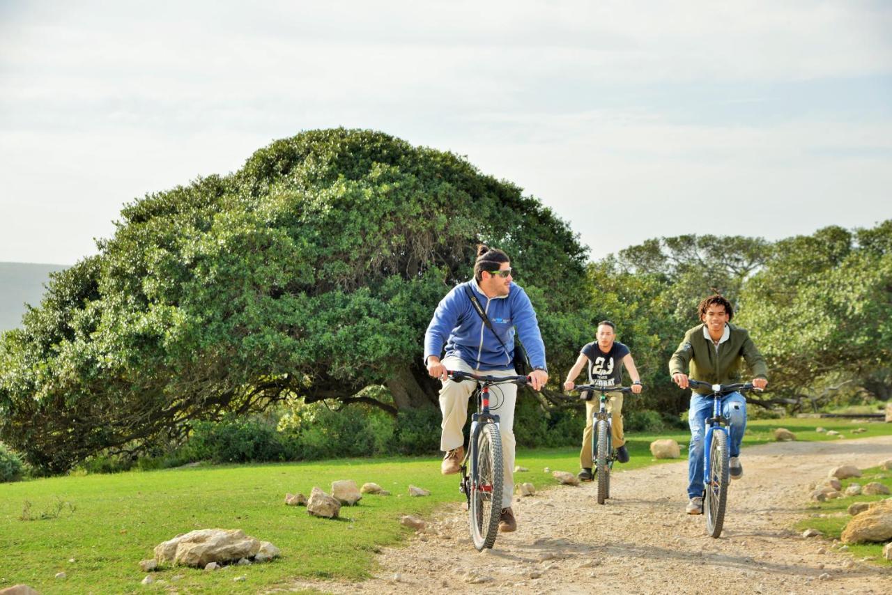 De Hoop Collection Suites De Hoop Nature Reserve Extérieur photo